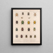 Insecten Kevers Pl 021 - Frederick Du Cane Godman — ingelijst kunstwerk aan de muur