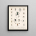 Insecten Kevers Pl 211 - Frederick Du Cane Godman — ingelijst kunstwerk aan de muur