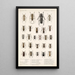 Insecta Coleoptera Pl 228 - Frederick DuCane Godman — ingelijst kunstwerk aan de muur
