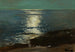 Helder maanlicht op zee - Frederick Judd Waugh — weergave van het kunstwerk