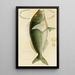 Poissons V - Frederick McCoy — ingelijst kunstwerk aan de muur
