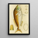 Poissons VI - Frederick McCoy — ingelijst kunstwerk aan de muur