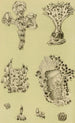 Bryozoaires IX - Frederick McCoy — weergave van het kunstwerk