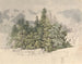 Berglandschap - Friedrich Salathé — weergave van het kunstwerk