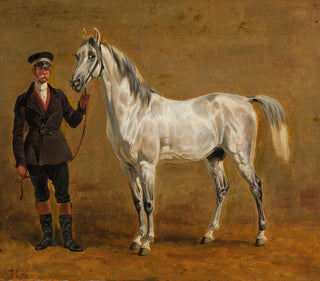 Friedrich Voltz - Schimmel mit Rittmeister.webp