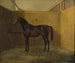 Hersilie - Fritz Thomsen — weergave van het kunstwerk