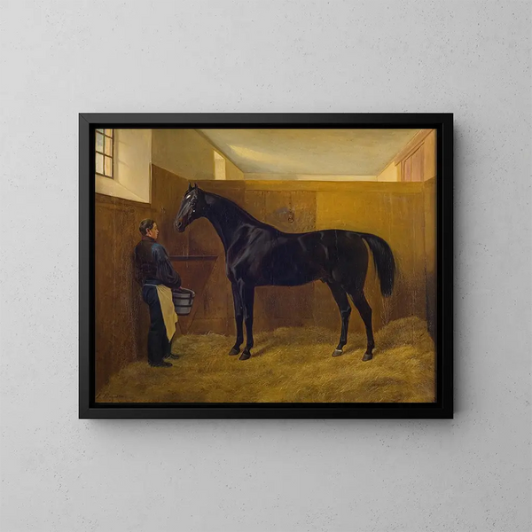 Zampa - Fritz Thomsen — ingelijst kunstwerk aan de muur
