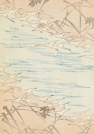 Furuya Krin - Bijutsukai Pl182.webp