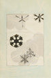 Bijutsukai Pl76 - Furuya Korin — artwork view