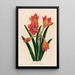 Amaryllis mexicana - Gaetano Savi — ingelijst kunstwerk aan de muur