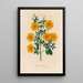 Linum trigynum - Gaetano Savi — ingelijst kunstwerk aan de muur