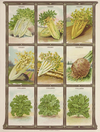 Genesee Valley Lithograph Co - Celery Celeriac Collards.webp