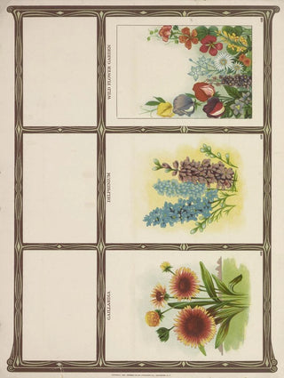 Genesee Valley Lithograph Co - Gaillardia Delphinium Wtld flower garden.webp