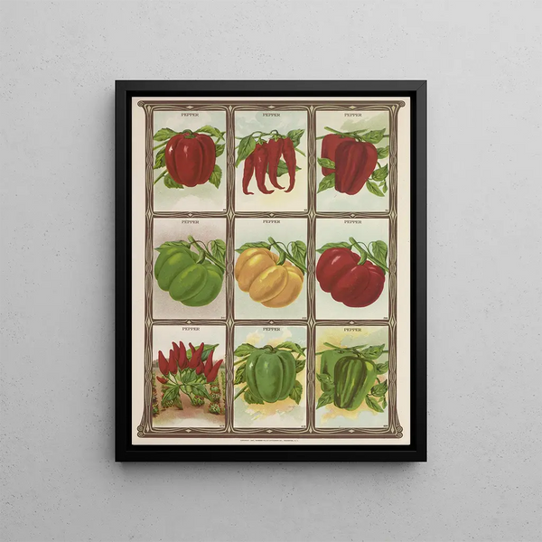 Genesee Valley Lithograph Co - Pepper.webp