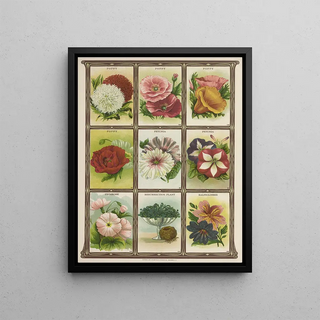 Genesee Valley Lithograph Co - Poppy Petunia Primrose.webp