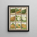 Squash - Genesee Valley Lithograph & Co.. — ingelijst kunstwerk aan de muur
