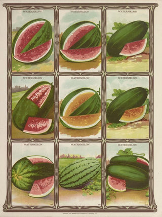 Genesee Valley Lithograph Co - Watermelon.webp