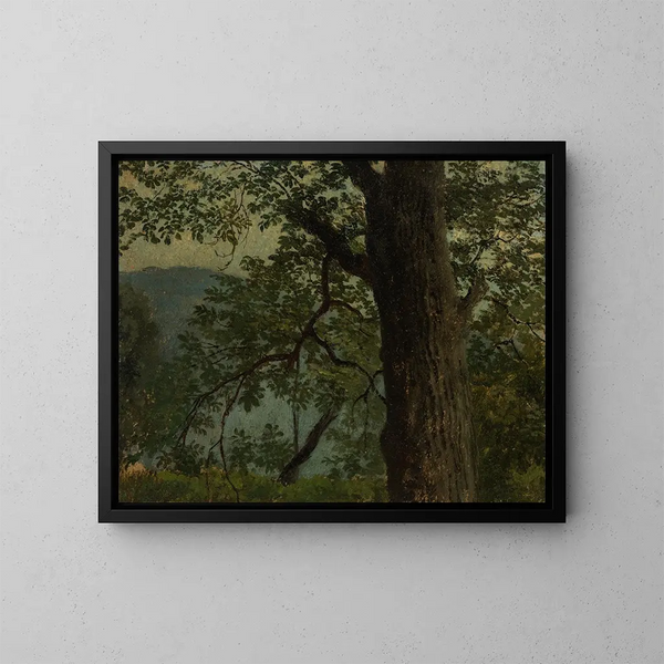 Studie van een eik - Georg Wilhelm Issel — ingelijst kunstwerk aan de muur