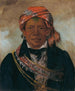 BdA-Sin Chef de la tribu - George Catlin — weergave van het kunstwerk