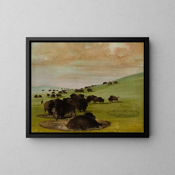 Bizons in een waterpoel - George Catlin — ingelijst kunstwerk aan de muur