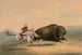 Jacht op bizons nr. 5 - George Catlin — weergave van het kunstwerk