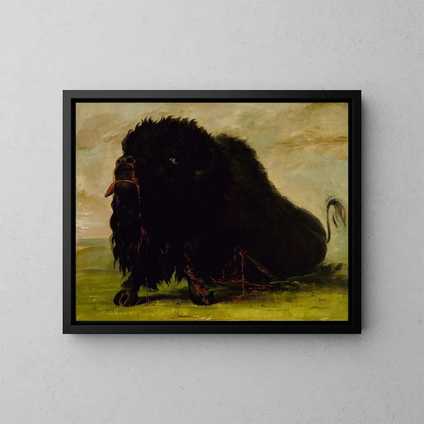 Dode bizon doorboord door een pijl - George Catlin — ingelijst kunstwerk aan de muur