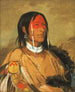 Eeh-Tow-Wes-Ka-Zeet Degene die ogen achter zich heeft, ook bekend als Gebroken Arm, is een dapperheid van de eerste orde - George Catlin — weergave van het kunstwerk