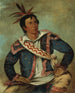 Schildersij Tortue serpentine H-Tchoo-Tc-Knee, een gemengde - George Catlin — weergave van het kunstwerk