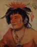Pah-shee-nu-shaw een krijger - George Catlin — weergave van het kunstwerk