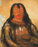 Peh-Tä-Pe-Kiss Eagles confronteert een Piegan-hoofd - George Catlin — weergave van het kunstwerk