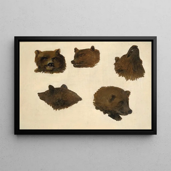 George Catlin - Portraits of Two Grizzly Bears From Life.webp