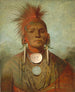 Geschiedenis van de geneeskundige man van Iowa - George Catlin — weergave van het kunstwerk