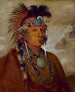 Sh-Me-Ks Bekijk de wolf als een leider - George Catlin — weergave van het kunstwerk