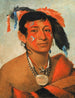 Sha-W-No Le Sud, een erkende krijger - George Catlin — weergave van het kunstwerk