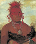 Chef des chevaux Shn-Ka-Ki-Hega Groot leider van de Pawnee - George Catlin — weergave van het kunstwerk