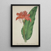 My Garden in Ceylon Pl008 - George De Alwis — framed artwork on a wall
