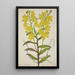 My Garden in Ceylon Pl018 - George De Alwis — framed artwork on a wall