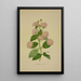 Mon Jardin à Ceylan Pl020 - George De Alwis — framed artwork on a wall