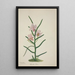 My Garden in Ceylon Pl022 - George De Alwis — framed artwork on a wall