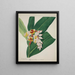 Mon Jardin à Ceylan Pl023 - George De Alwis — framed artwork on a wall