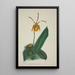 Mon Jardin à Ceylan Pl024 - George De Alwis — framed artwork on a wall