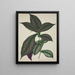 Mon Jardin à Ceylan Pl028 - George De Alwis — framed artwork on a wall