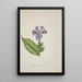 My Garden in Ceylon Pl029 - George De Alwis — framed artwork on a wall