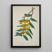 My Garden in Ceylon Pl030 - George De Alwis — framed artwork on a wall