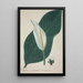 Mon Jardin à Ceylan Pl034 - George De Alwis — framed artwork on a wall