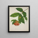 My Garden in Ceylon Pl035 - George De Alwis — framed artwork on a wall