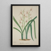 Mon Jardin à Ceylan Pl042 - George De Alwis — framed artwork on a wall