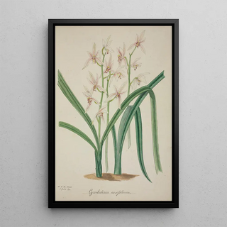 George De Alwis - Mon Jardin a Ceylan Pl042.webp