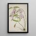 My Garden in Ceylan Pl045 - George De Alwis — framed artwork on a wall