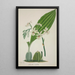My Garden in Ceylon Pl048 - George De Alwis — framed artwork on a wall